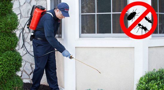 Bulanık Dezenfeksiyon böcek ilaçlama ve haşere kontrolü — ilaclama-tr.com